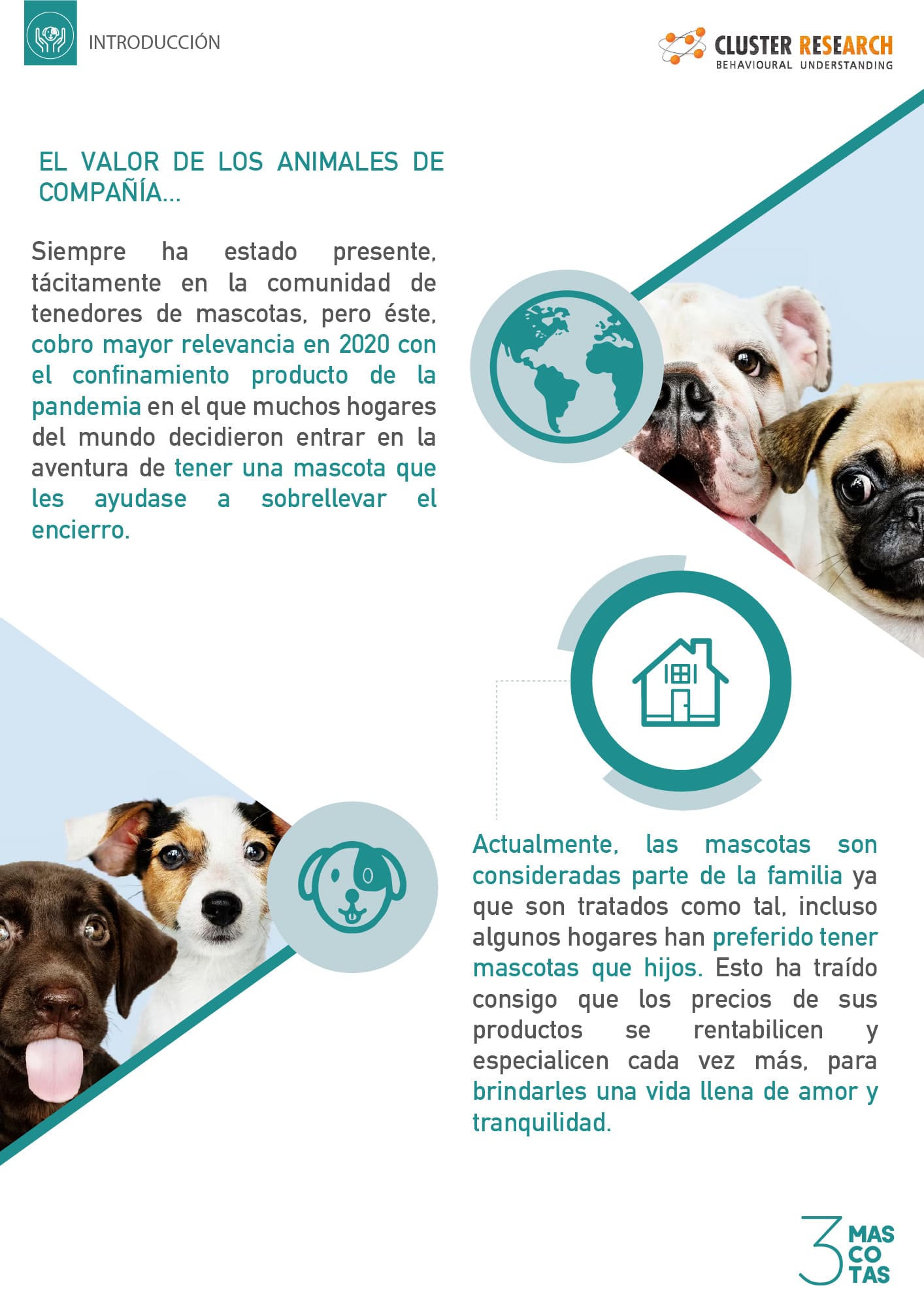 Documental Mascotas 2024
