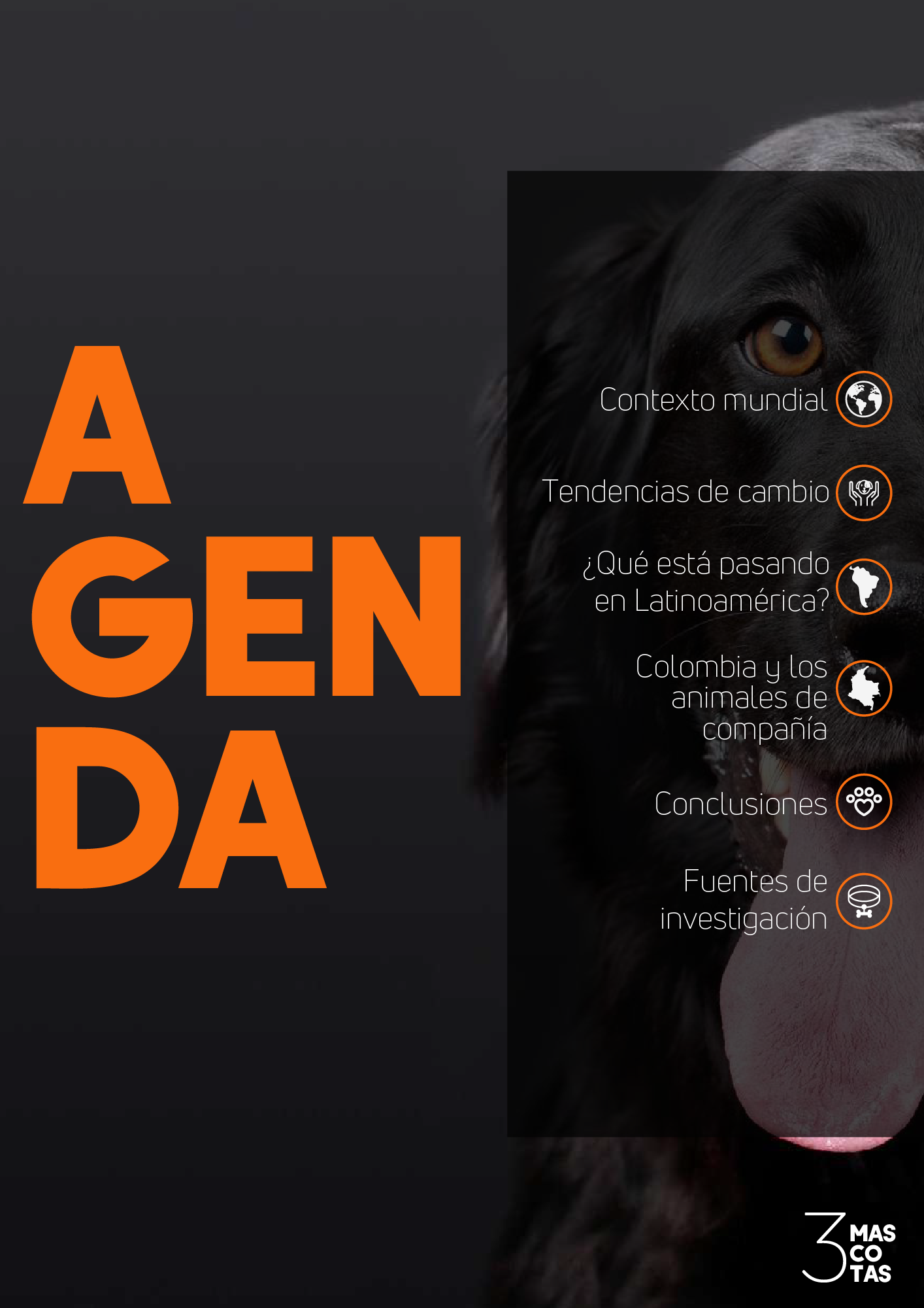 AGENDA MASCOTAS
